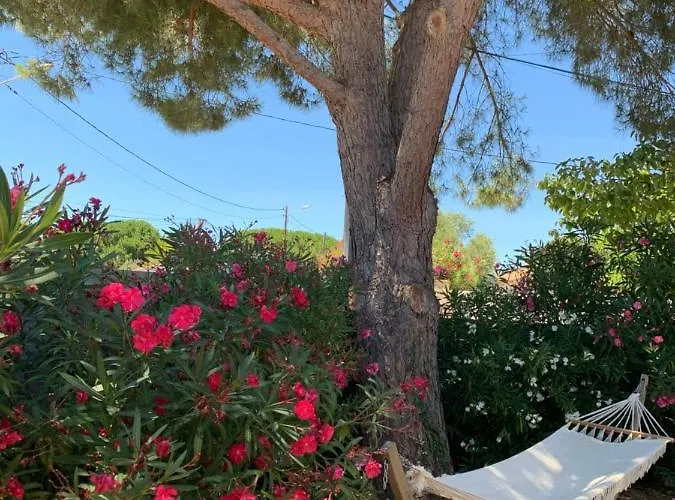 Les Lauriers Roses * Marseillan (Herault)