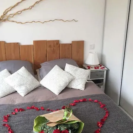 Les Lauriers Roses Holiday home *